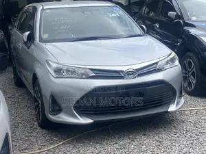 Toyota Corolla Fielder 2019 Silver