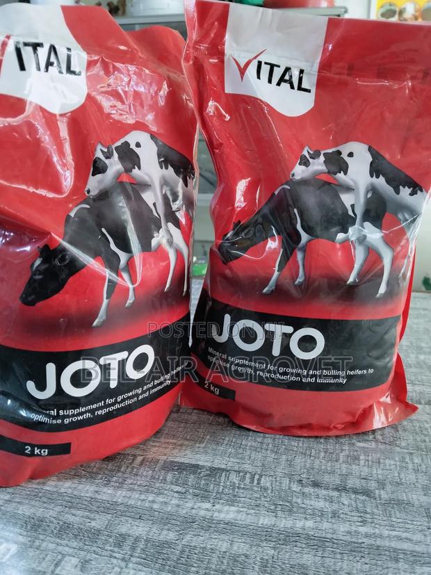 Vital Joto