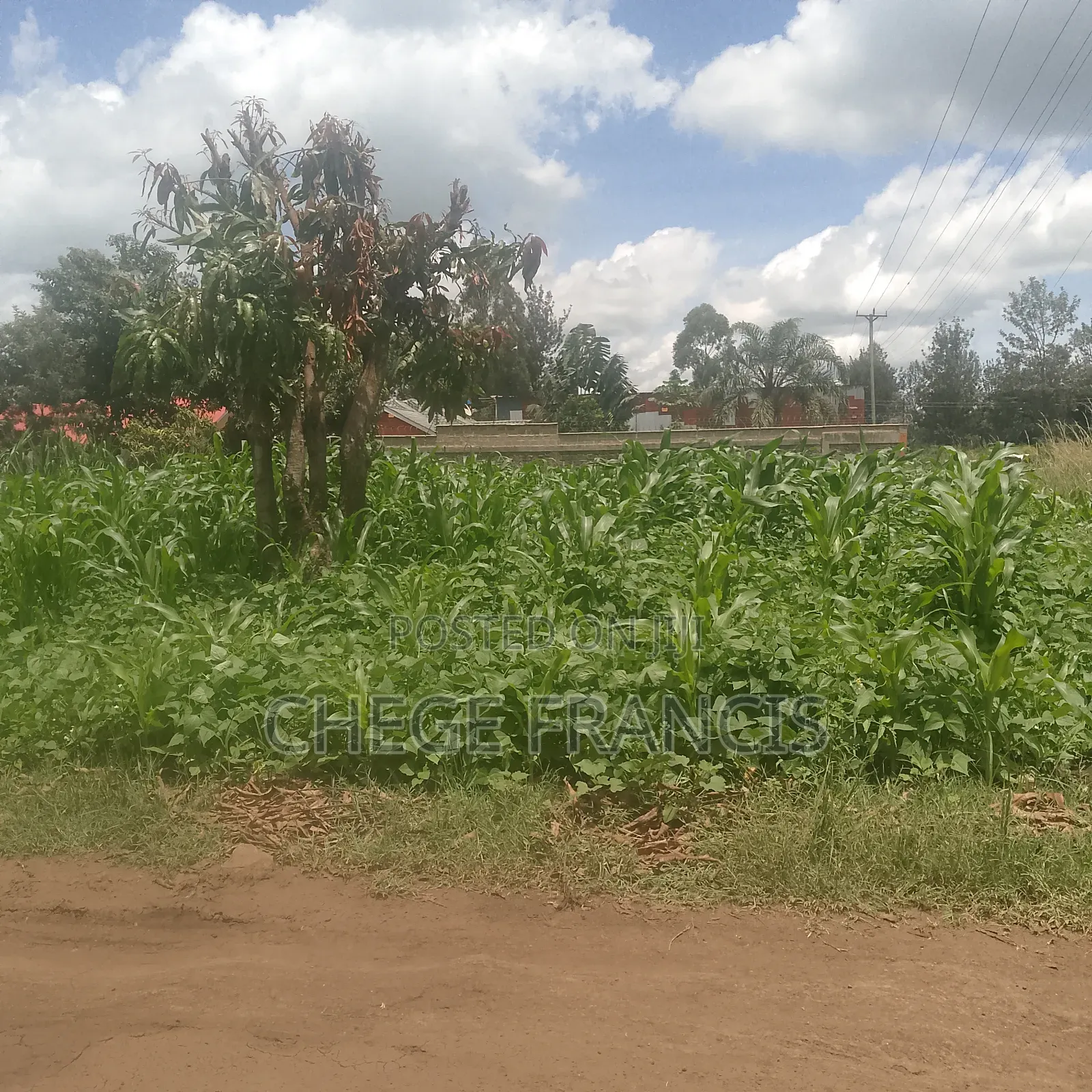 Kenol Muranga