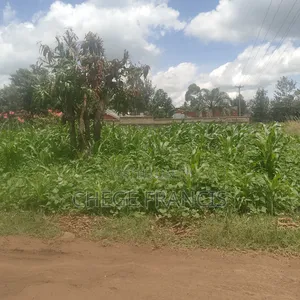 Kenol Muranga