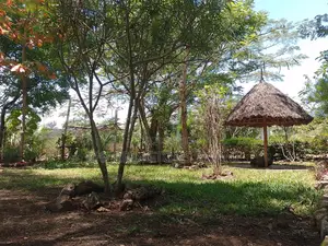 1⁄4 Acre Garden Plot| Borehole | Gazebo |Walled Compound| 4km to Beach