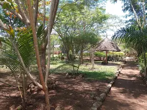 1⁄4 Acre Garden Plot| Borehole | Gazebo |Walled Compound| 4km to Beach