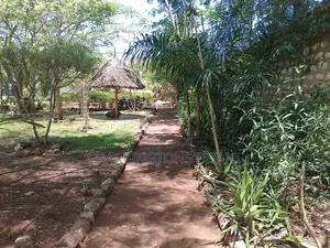1⁄4 Acre Garden Plot| Borehole | Gazebo |Walled Compound| 4km to Beach