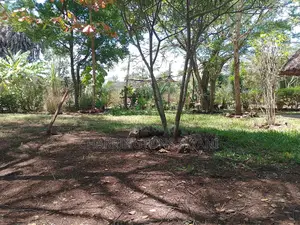 1⁄4 Acre Garden Plot| Borehole | Gazebo |Walled Compound| 4km to Beach