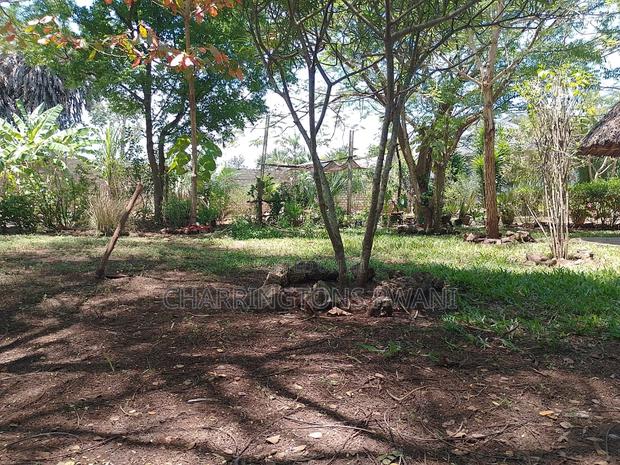 1⁄4 Acre Garden Plot| Borehole | Gazebo |Walled Compound| 4km to Beach - thumbnail 4