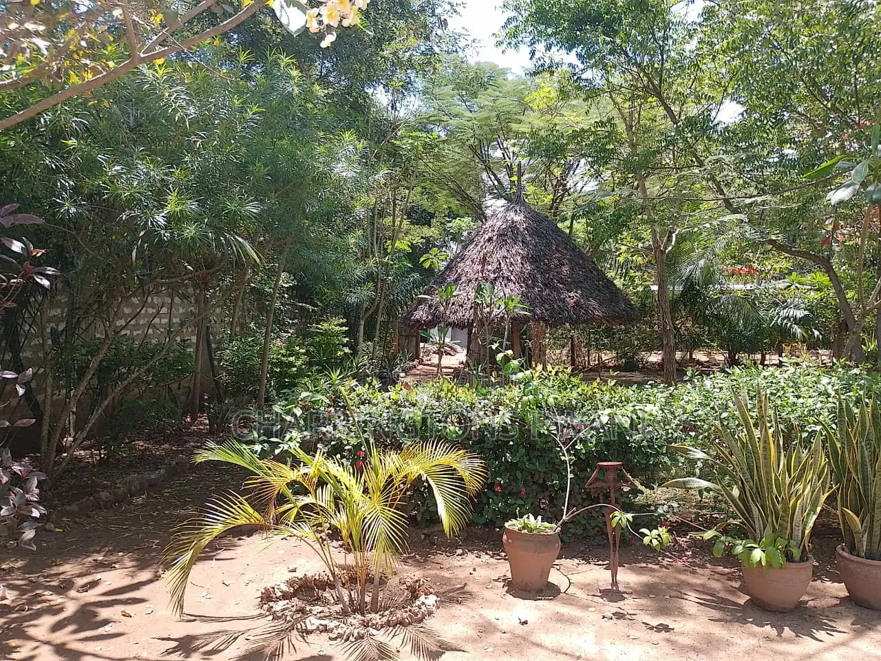 1⁄4 Acre Garden Plot| Borehole | Gazebo |Walled Compound| 4km to Beach