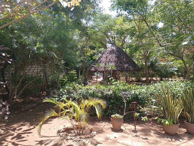 1⁄4 Acre Garden Plot| Borehole | Gazebo |Walled Compound| 4km to Beach - thumbnail 8