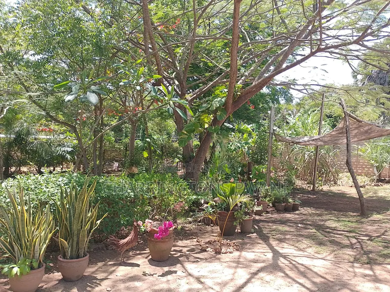 1⁄4 Acre Garden Plot| Borehole | Gazebo |Walled Compound| 4km to Beach