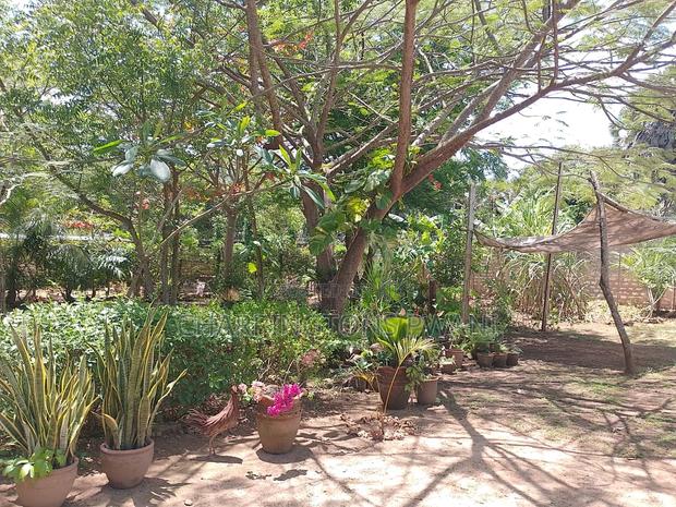1⁄4 Acre Garden Plot| Borehole | Gazebo |Walled Compound| 4km to Beach - thumbnail 9