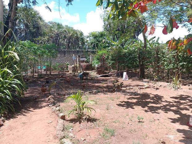 1⁄4 Acre Garden Plot| Borehole | Gazebo |Walled Compound| 4km to Beach - thumbnail 13