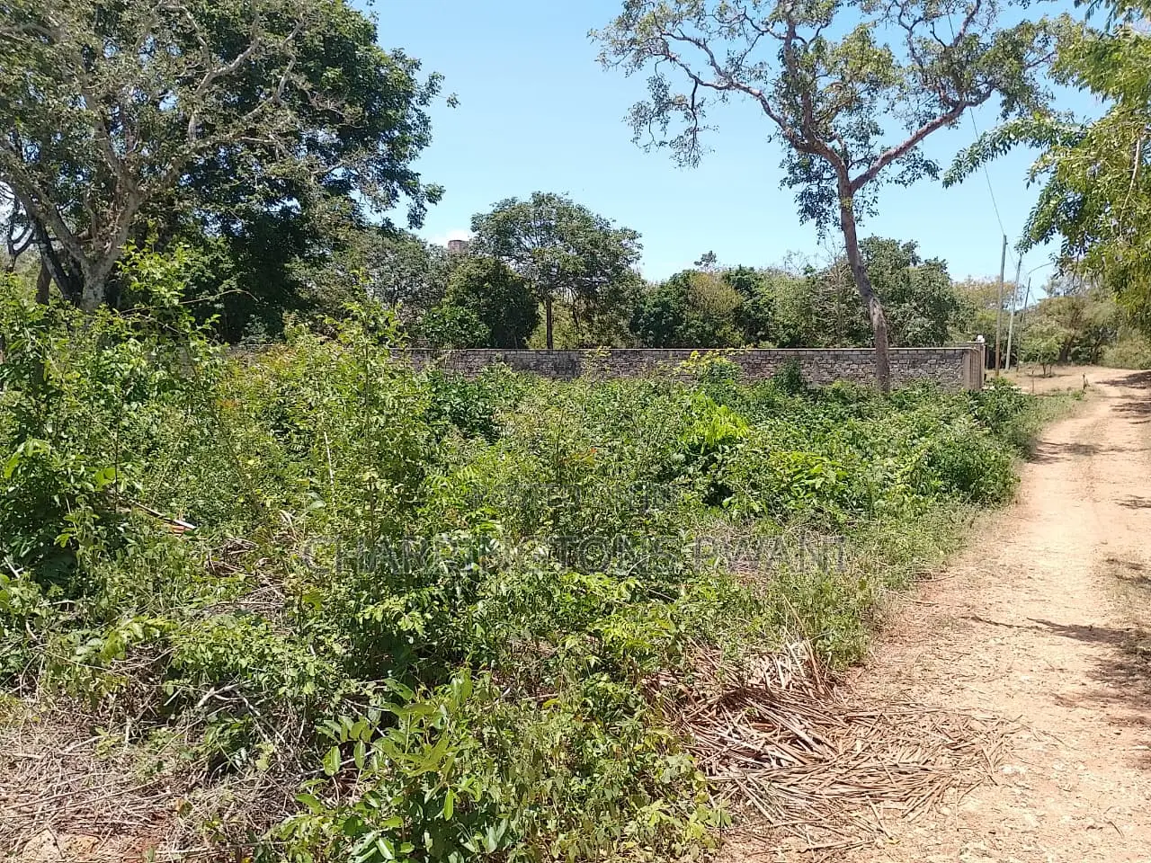 1⁄2 Acre Plot| 1st Line 4th Row| Near Manyatta| Cleared Ready|Diani