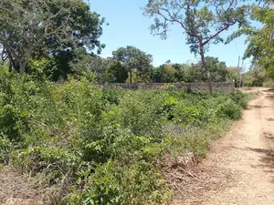 1⁄2 Acre Plot| 1st Line 4th Row| Near Manyatta| Cleared Ready|Diani