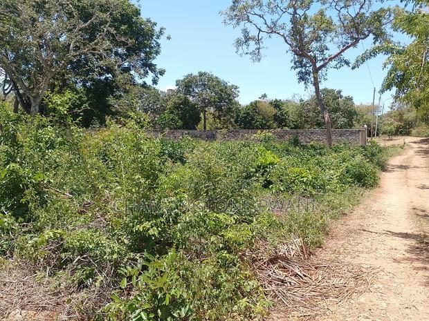 1⁄2 Acre Plot| 1st Line 4th Row| Near Manyatta| Cleared Ready|Diani