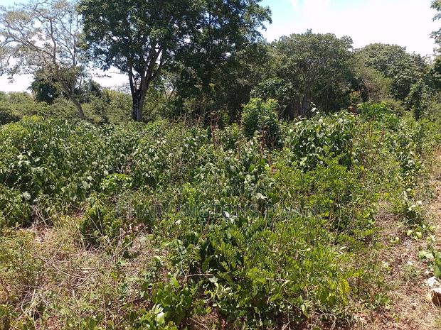 1⁄2 Acre Plot| 1st Line 4th Row| Near Manyatta| Cleared Ready|Diani - thumbnail 3
