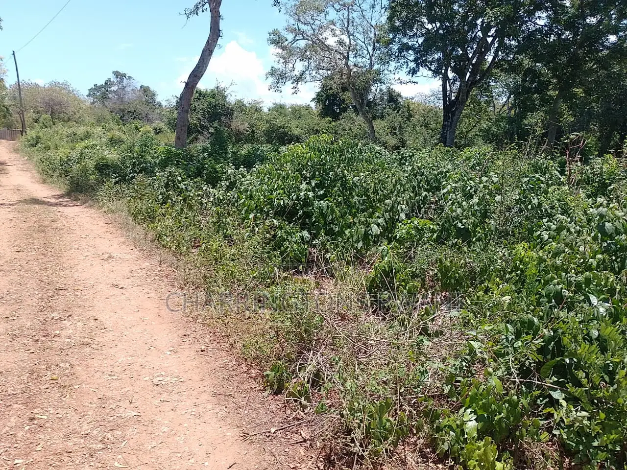 1⁄2 Acre Plot| 1st Line 4th Row| Near Manyatta| Cleared Ready|Diani