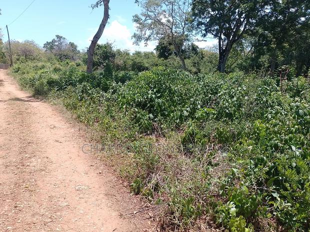 1⁄2 Acre Plot| 1st Line 4th Row| Near Manyatta| Cleared Ready|Diani - thumbnail 5