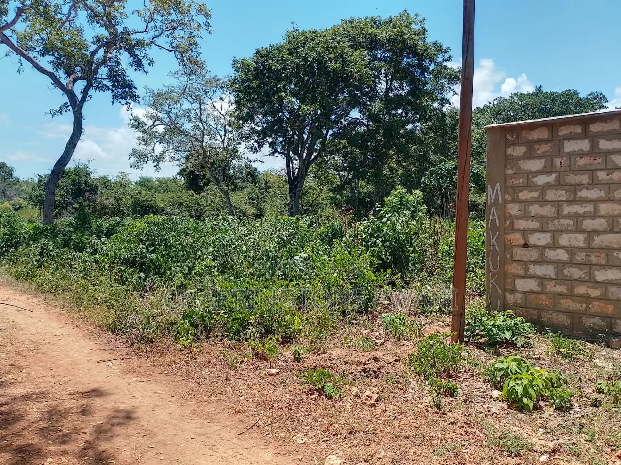1⁄2 Acre Plot| 1st Line 4th Row| Near Manyatta| Cleared Ready|Diani