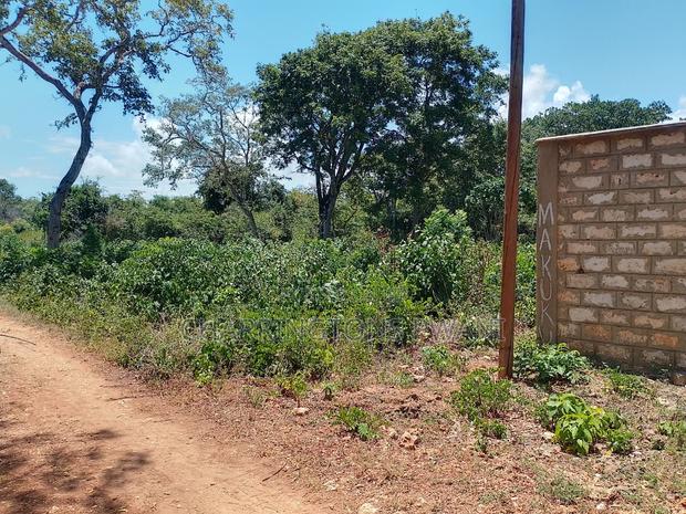 1⁄2 Acre Plot| 1st Line 4th Row| Near Manyatta| Cleared Ready|Diani - thumbnail 7