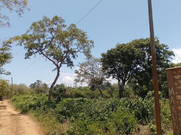 1⁄2 Acre Plot| 1st Line 4th Row| Near Manyatta| Cleared Ready|Diani - thumbnail 8