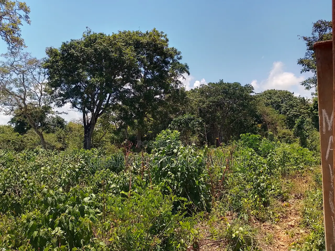 1⁄2 Acre Plot| 1st Line 4th Row| Near Manyatta| Cleared Ready|Diani