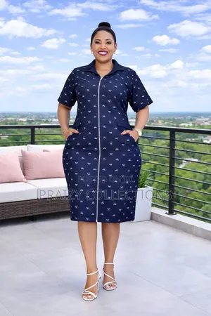 Front Zipped Straight Dress