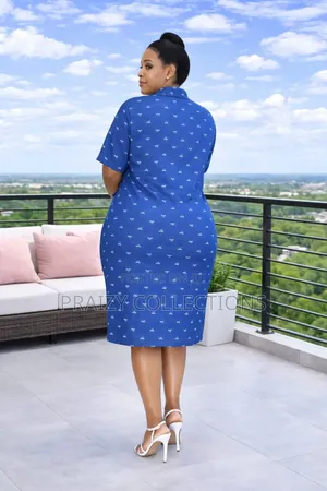 Front Zipped Straight Dress