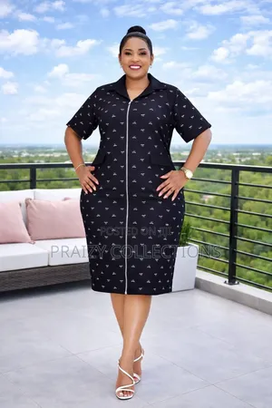 Front Zipped Straight Dress