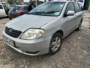 Toyota Corolla Fielder 2006 Silver