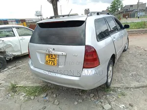 Toyota Corolla Fielder 2006 Silver