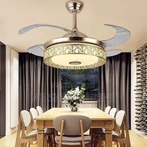 42" Fan Ceiling Light