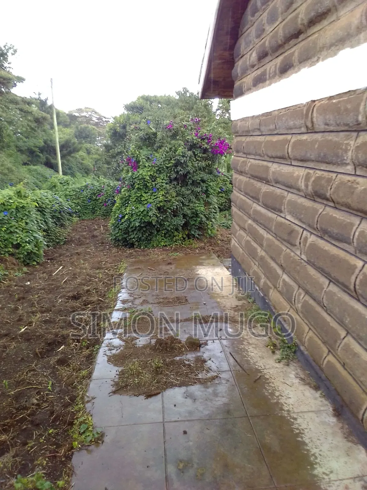 6bdrm Bungalow in Milimani Estate for sale