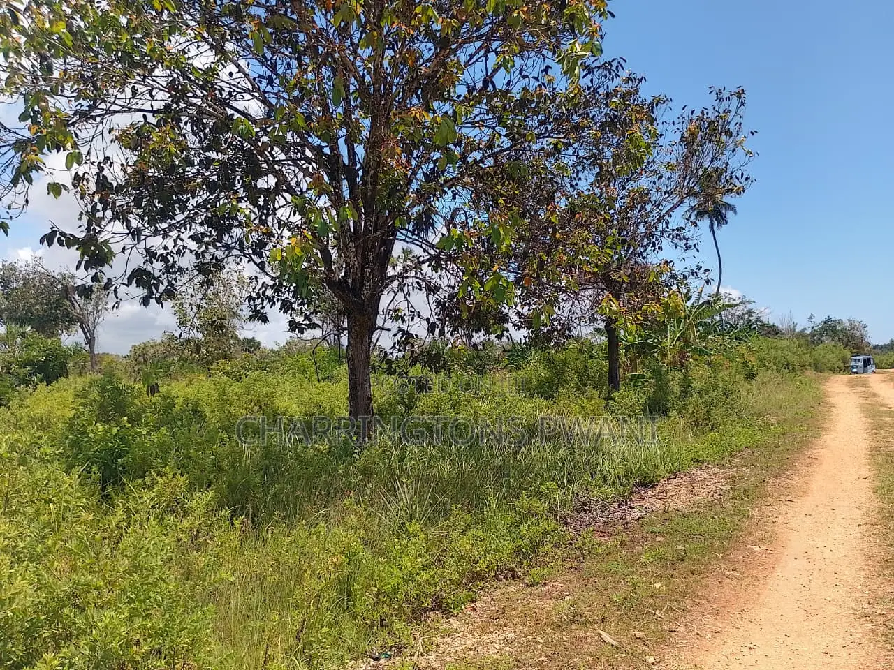 14 Acres | Fertile Green | 4th Row Galu-Kinondo | Road Access