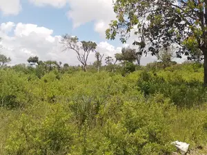 14 Acres | Fertile Green | 4th Row Galu-Kinondo | Road Access
