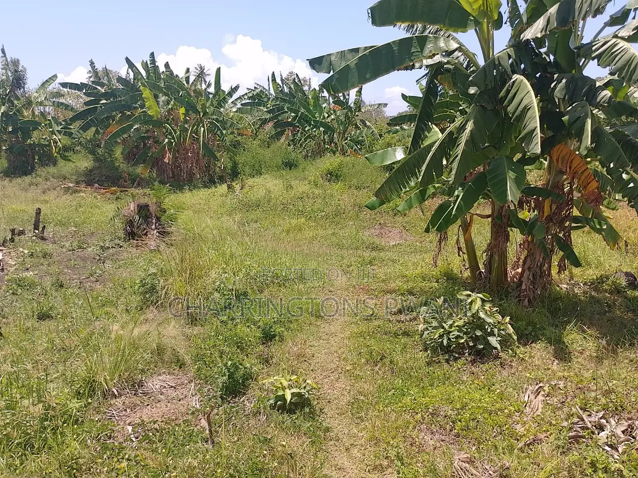 14 Acres | Fertile Green | 4th Row Galu-Kinondo | Road Access