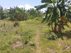 14 Acres | Fertile Green | 4th Row Galu-Kinondo | Road Access