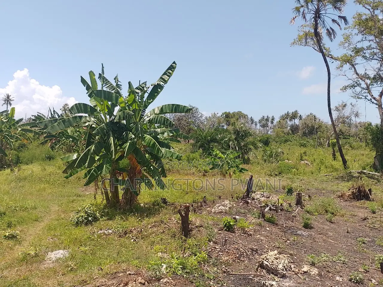 14 Acres | Fertile Green | 4th Row Galu-Kinondo | Road Access