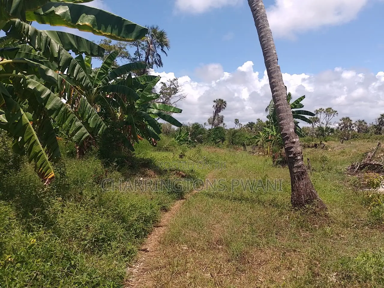 14 Acres | Fertile Green | 4th Row Galu-Kinondo | Road Access