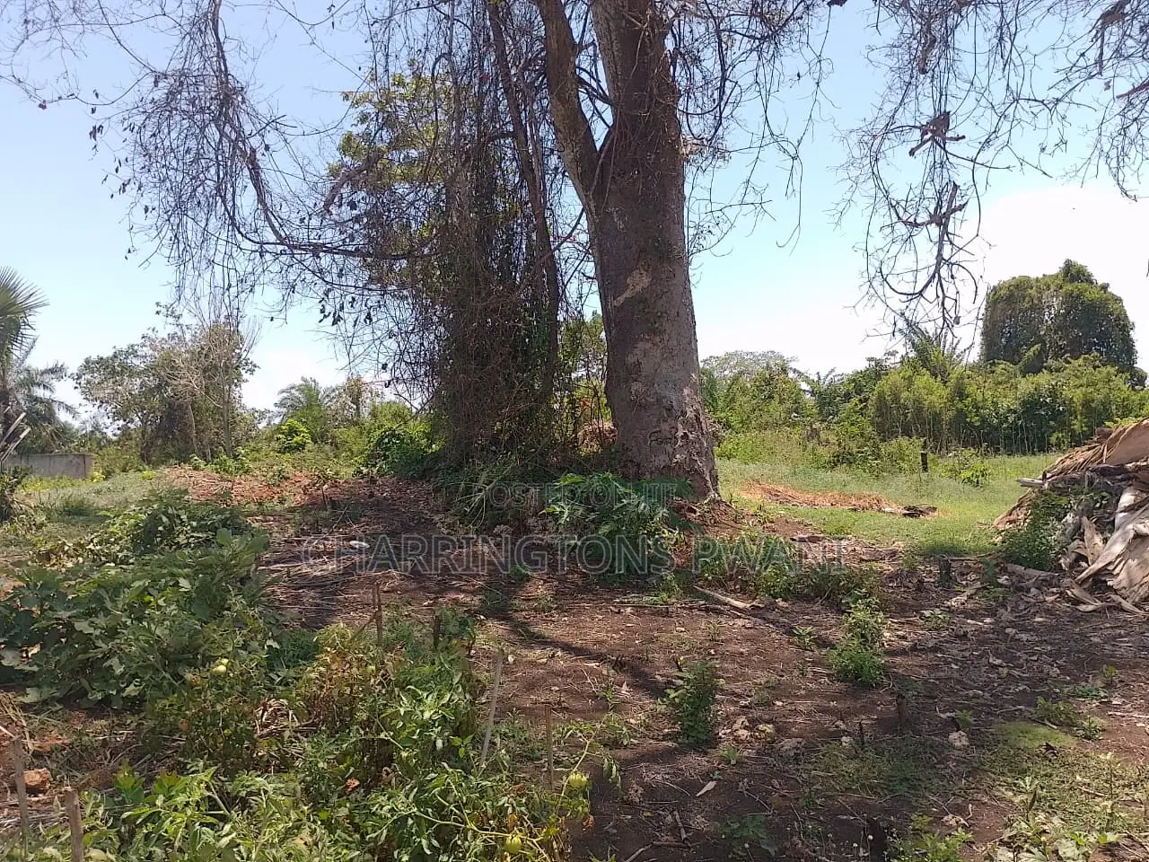 14 Acres | Fertile Green | 4th Row Galu-Kinondo | Road Access