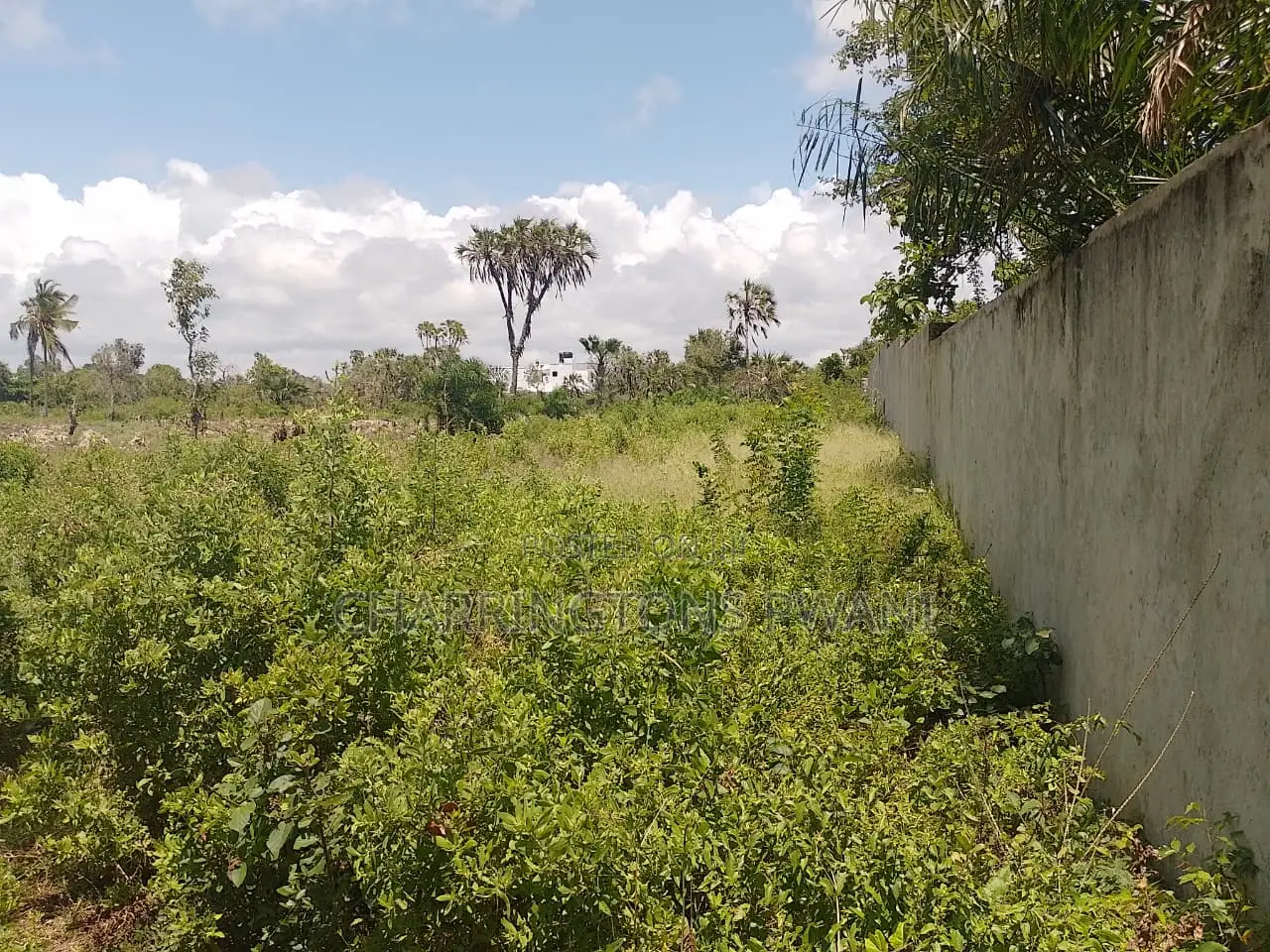 14 Acres | Fertile Green | 4th Row Galu-Kinondo | Road Access