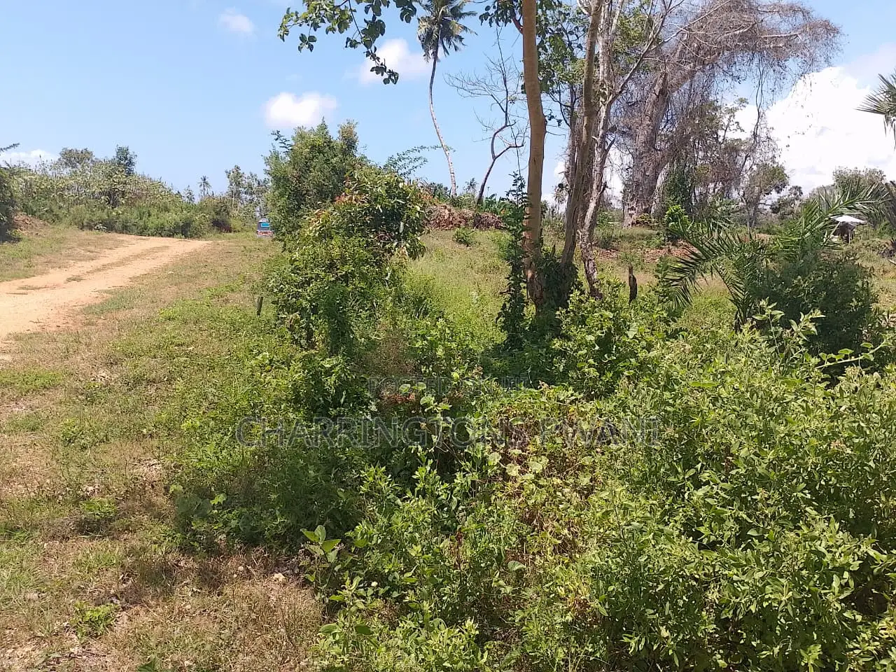 14 Acres | Fertile Green | 4th Row Galu-Kinondo | Road Access