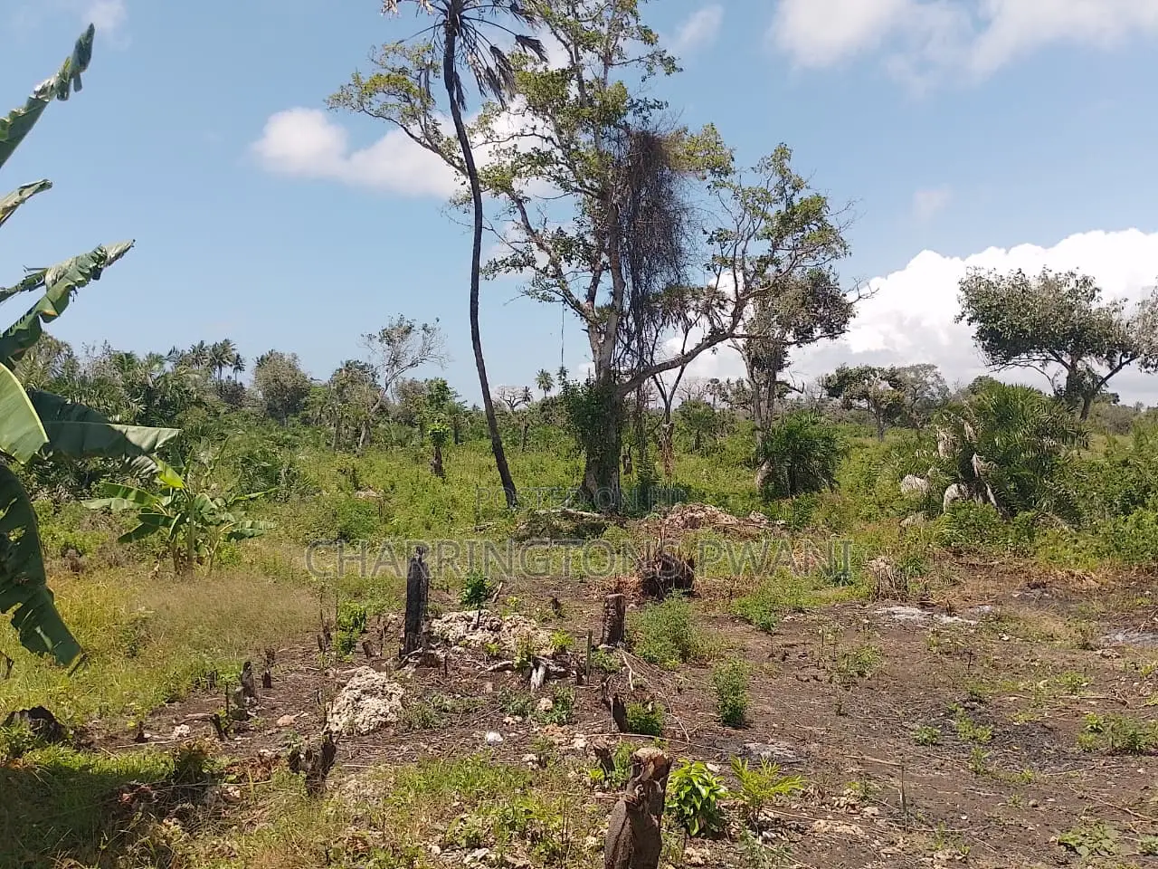 14 Acres | Fertile Green | 4th Row Galu-Kinondo | Road Access