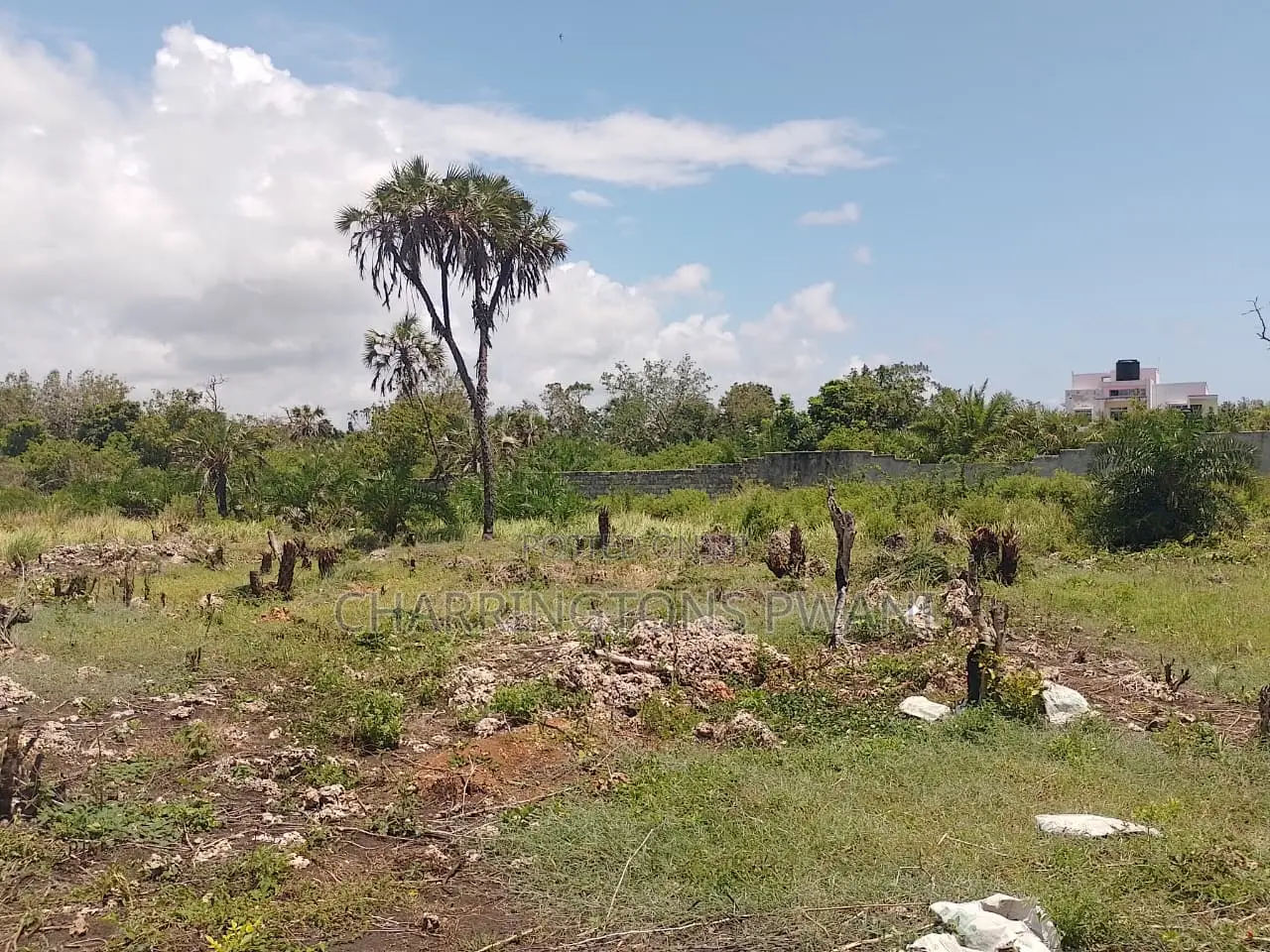 14 Acres | Fertile Green | 4th Row Galu-Kinondo | Road Access