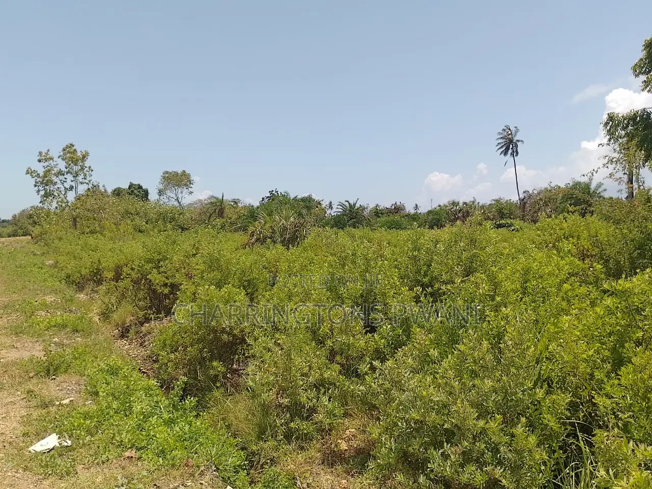 1.25 Acre Corner Plot | 3rd Row Galu-Kinondo | 3 Mins to Beach