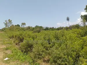 1.25 Acre Corner Plot | 3rd Row Galu-Kinondo | 3 Mins to Beach