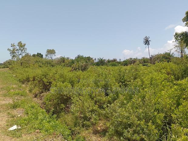 1.25 Acre Corner Plot | 3rd Row Galu-Kinondo | 3 Mins to Beach - main view