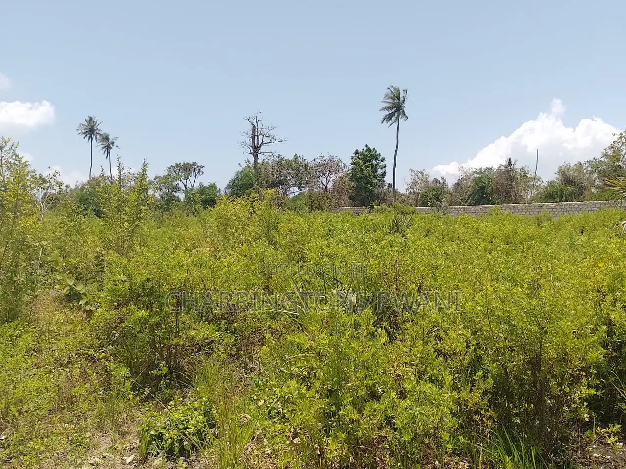 1.25 Acre Corner Plot | 3rd Row Galu-Kinondo | 3 Mins to Beach