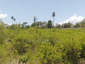 1.25 Acre Corner Plot | 3rd Row Galu-Kinondo | 3 Mins to Beach