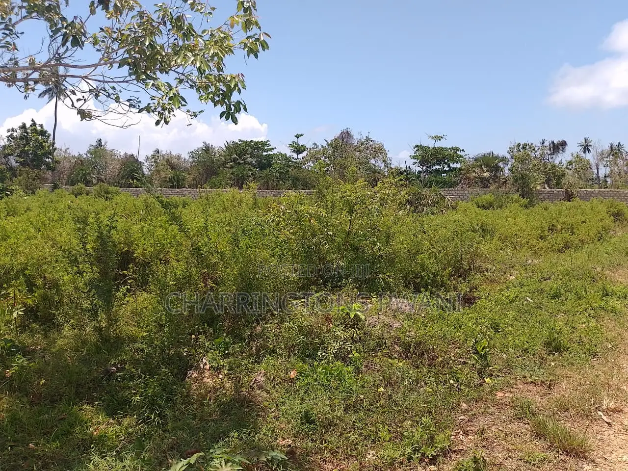 1.25 Acre Corner Plot | 3rd Row Galu-Kinondo | 3 Mins to Beach