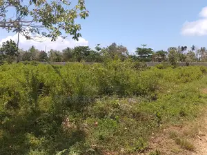 1.25 Acre Corner Plot | 3rd Row Galu-Kinondo | 3 Mins to Beach