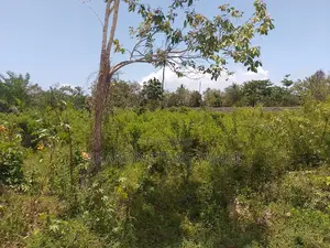 1.25 Acre Corner Plot | 3rd Row Galu-Kinondo | 3 Mins to Beach